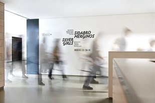Sidarbo merginos: parodos uždarymo ekskursijos