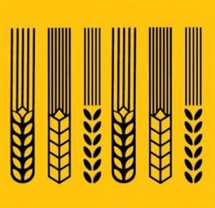 Alaus dizaino istorija