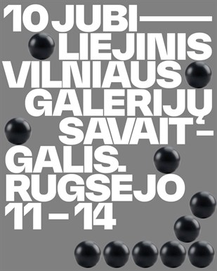 VGS renginiai NDG 2025