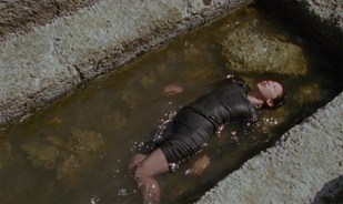 Eglės Budvytytės kūrinio gyva gyva-ta. Trikanalė kino instaliacija, suskaitmeninta 16 mm juosta, 4K projekcijos, 40 min. ©Eglė Budvytytė, 2026